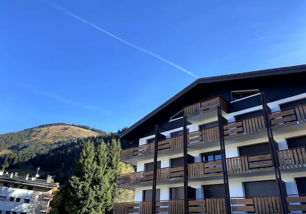 Appart 3Ch. Entierement Renove Au Coeur De Chatel France